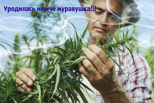 Кракен онион зеркала зеркало