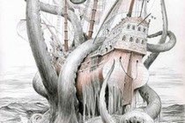 Kraken 24 top