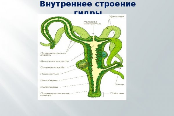 Ссылка на кракен 14ат